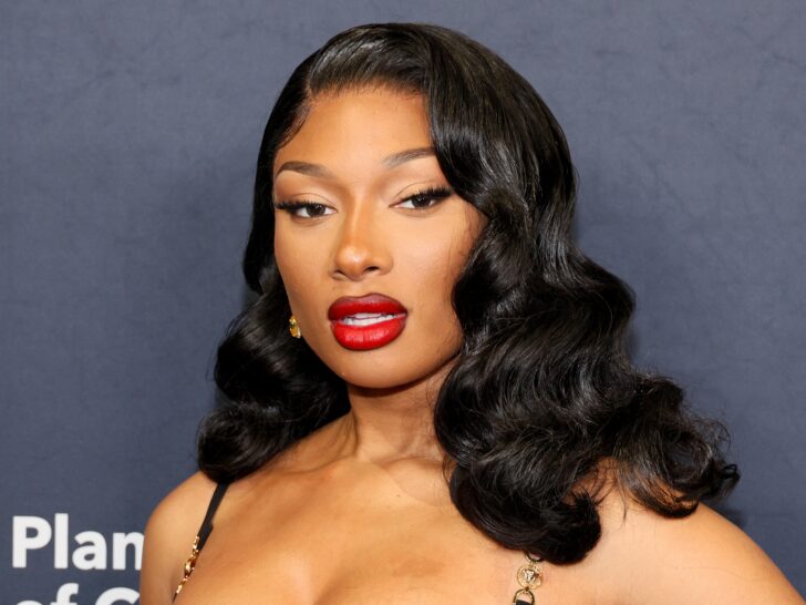 Megan Thee Stallion & Plastic Surgery: Did She Get a Nose Job Before VMAs?