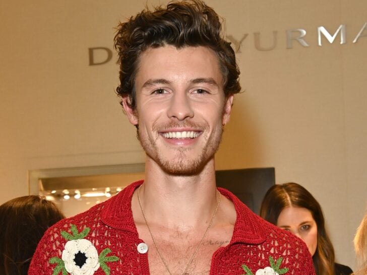 Shawn Mendes Girlfriend: Who’s He Dating After That Messy Love Triangle?