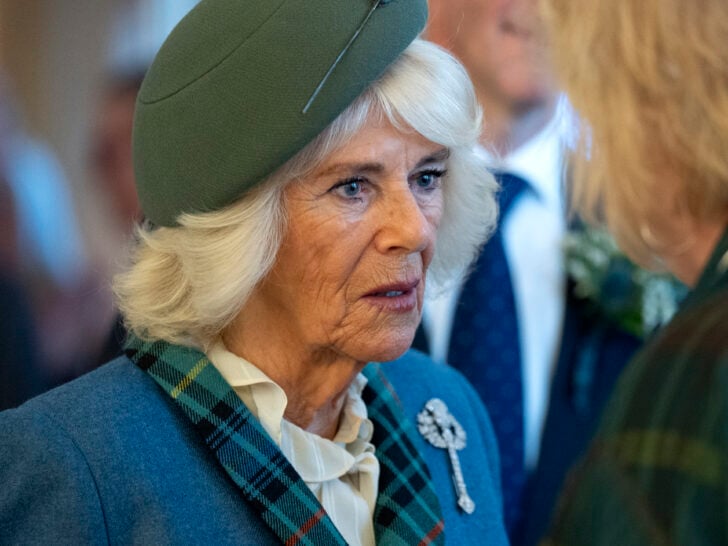 Queen Camilla to Prince Harry: Stay Away from the King!