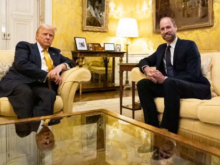 Prince Harry ‘Nervous’ Following Meeting Between Trump & Prince William: …