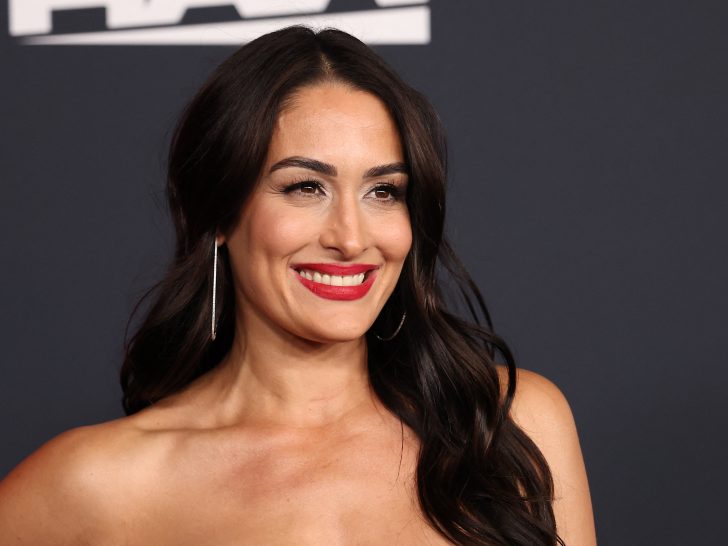 Nikki Garcia Has A Lot to Say About Artem Chigvintsev Divorce