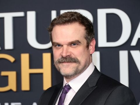David Harbour attends SNL50: The Anniversary Special on February 16, 2025 in New York City.