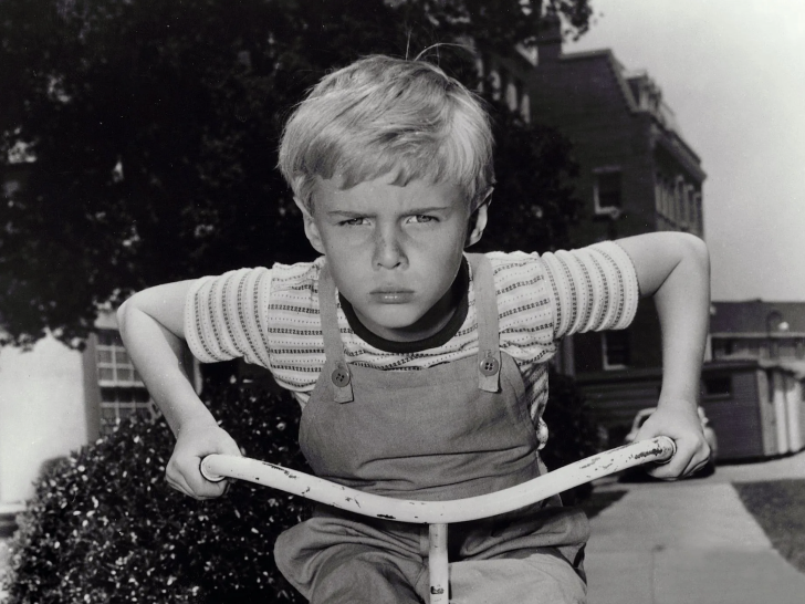 Jay North Cause of Death: ‘Dennis the Menace’ Star Passes Away at 73