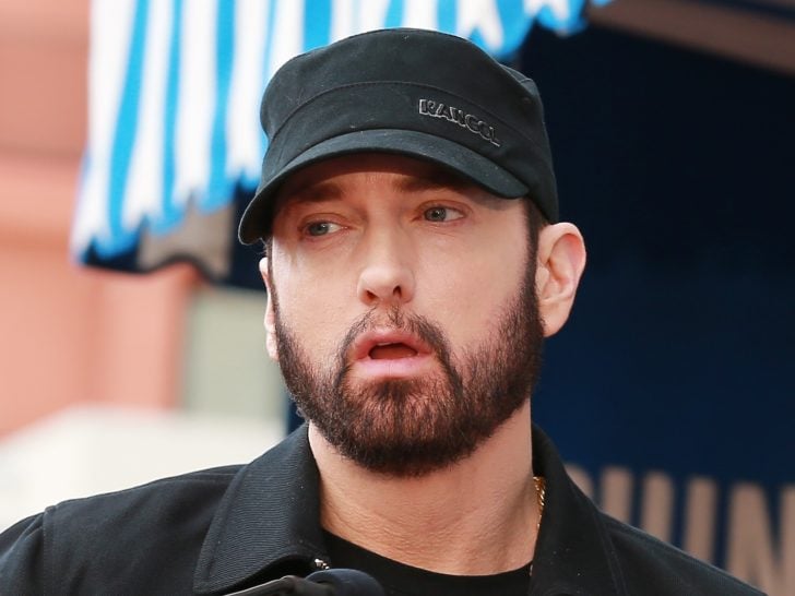Eminem Divorced: His History of Marriage (And the Wife He Married Twice), Explained
