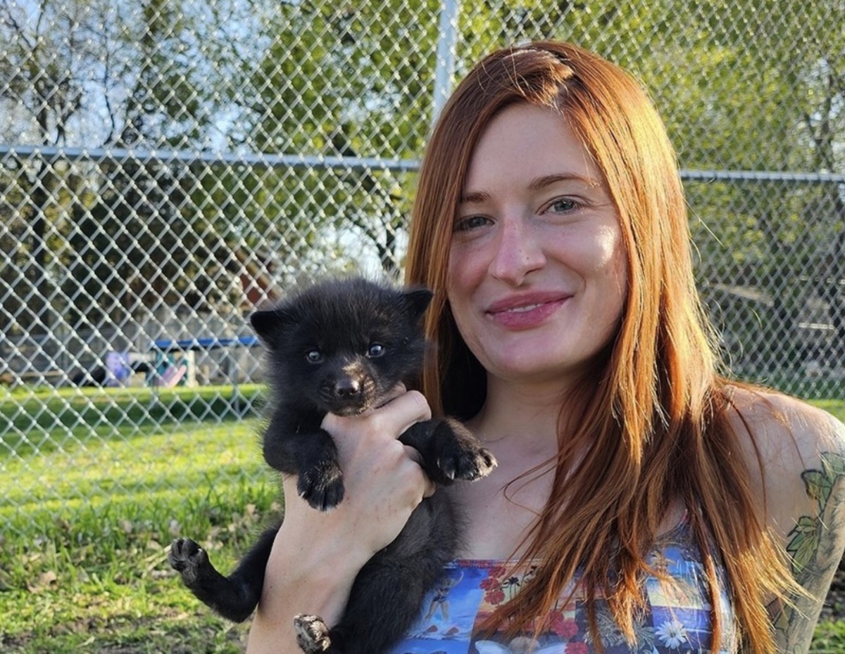 Mikayla Raines Dead by Suicide; YouTube Star’s Husband Blames Cyber Bullying