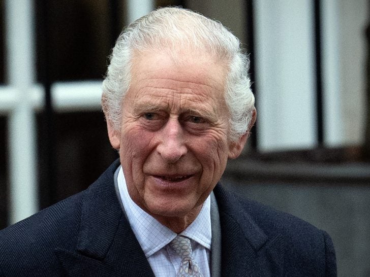 King Charles Snubs Prince Harry, Gushes Over William in Cringe Speech