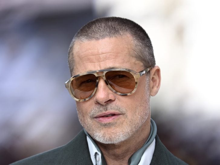 Brad Pitt is Reportedly Desperate for Knox & Vivienne to Not Disown Him Like All of …