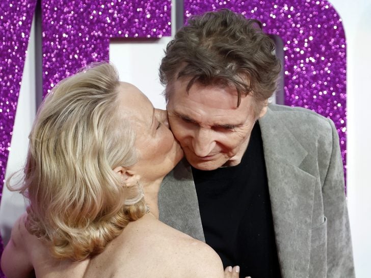 Pamela Anderson & Liam Neeson: Are They Dating?