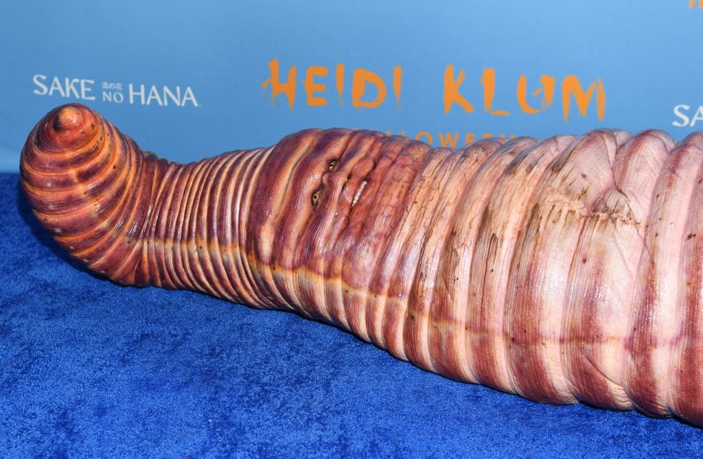 Heidi Klum as a worm in repose.