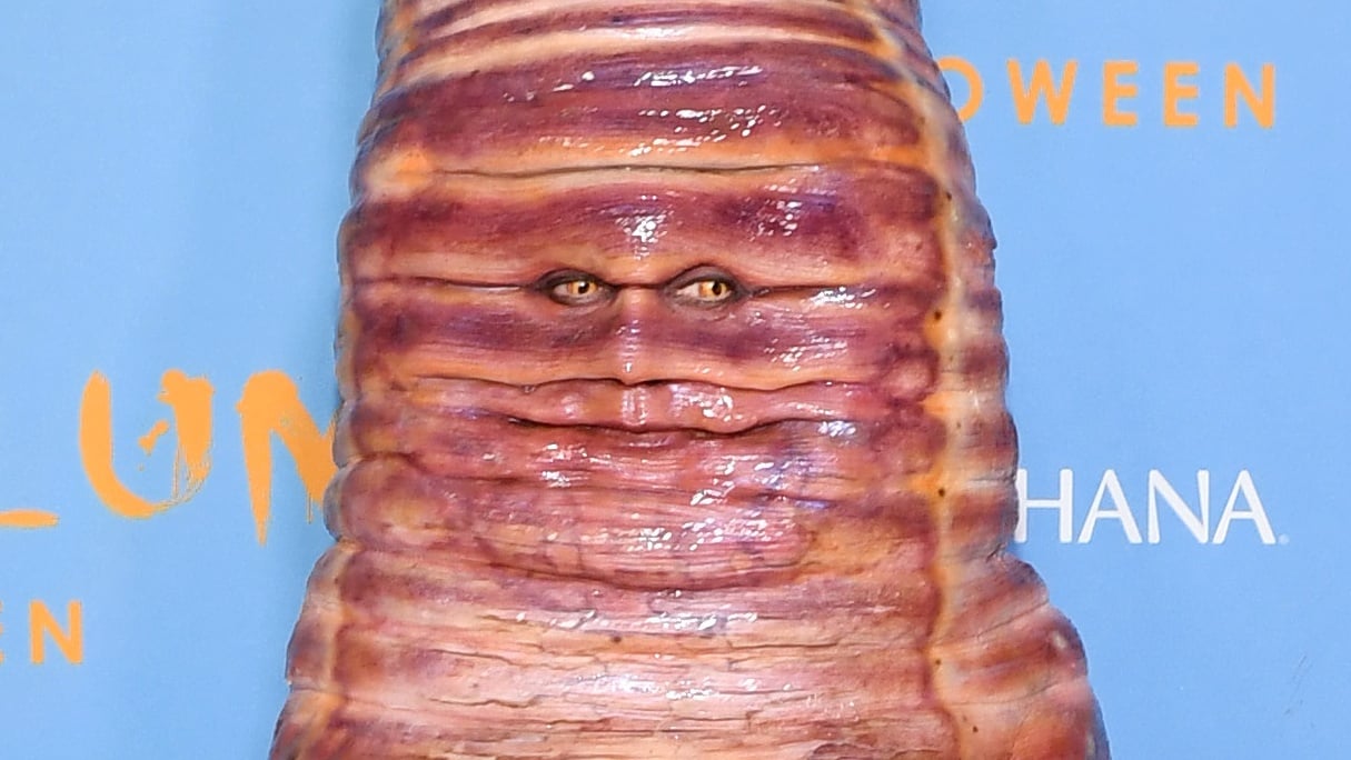Heidi Klum Announces Plans to Deworm and De-Parasite