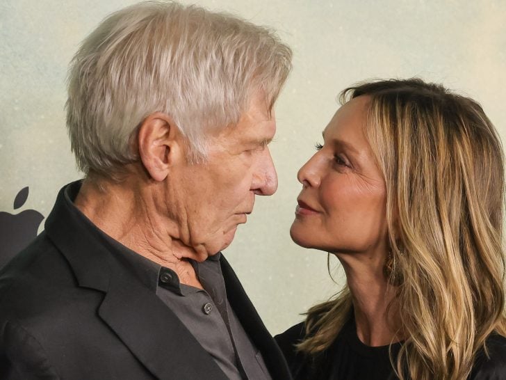 Harrison Ford Divorced: His History of Marriage, Explained