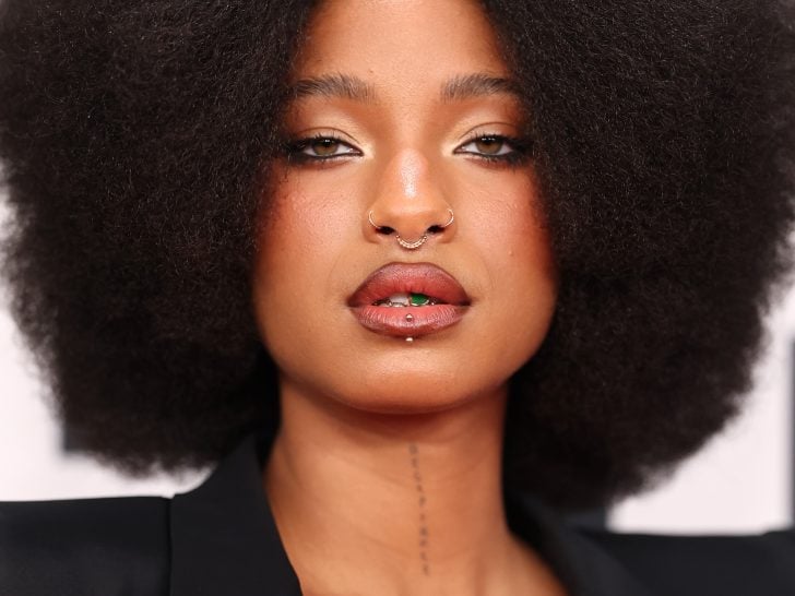 Willow Smith Posts Tearful, NSFW Selfie: Humor or Cry for Help?
