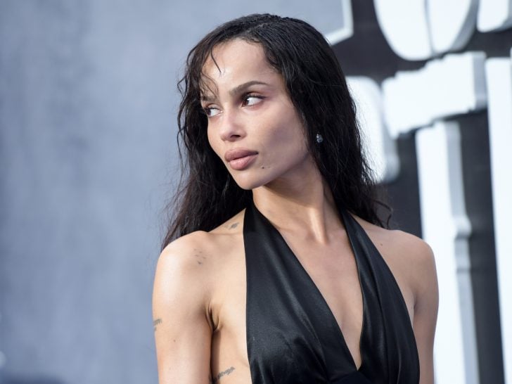 Harry Styles & Zoe Kravitz: Are They Dating?