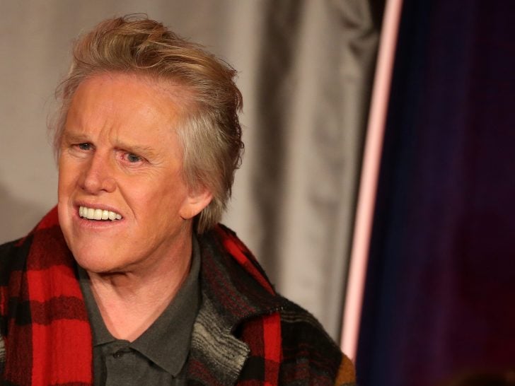 Gary Busey Pleads Guilty in Sexual Assault Case