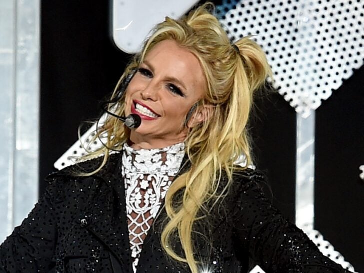 Britney Spears Bares Twerking Peach While Hiding from ‘Horrible’ Date