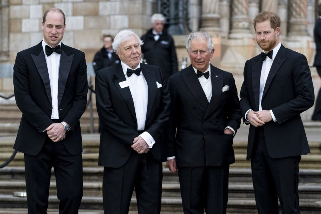 King Charles and Prince Harry and others in 2019.