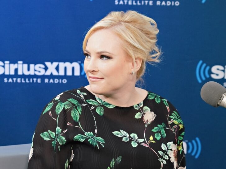 Meghan McCain, Daughter of John McCain, Blasts ‘Nepo Baby’ Violet Affleck as …