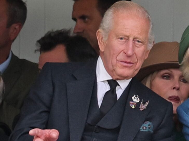 Prince Harry and King Charles: Reunited After 19 Months!