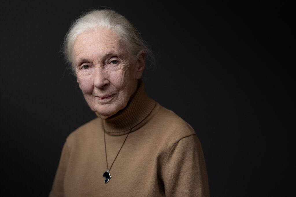 Dr. Jane Goodall in October 2024.