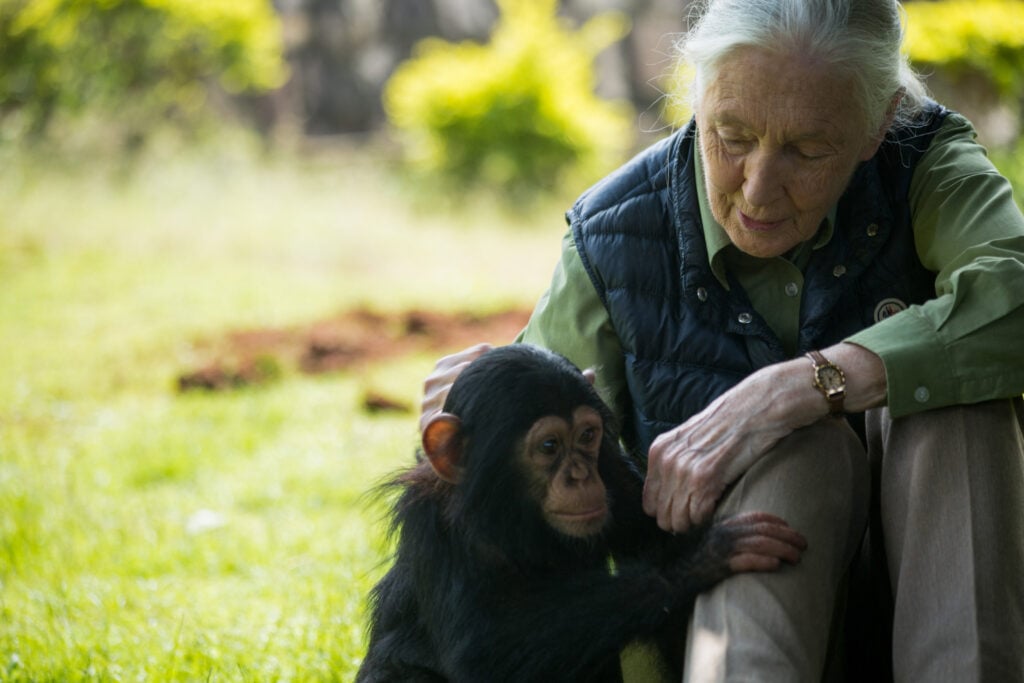 Dr. Jane Goodall in June 2018.