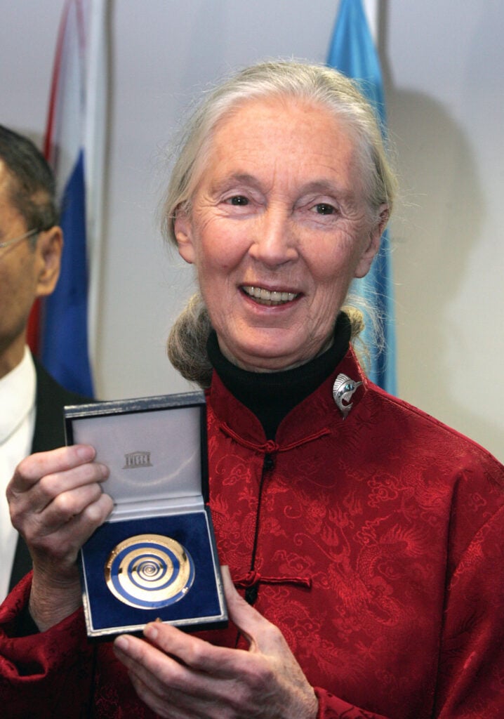 Dr. Jane Goodall in January 2006.