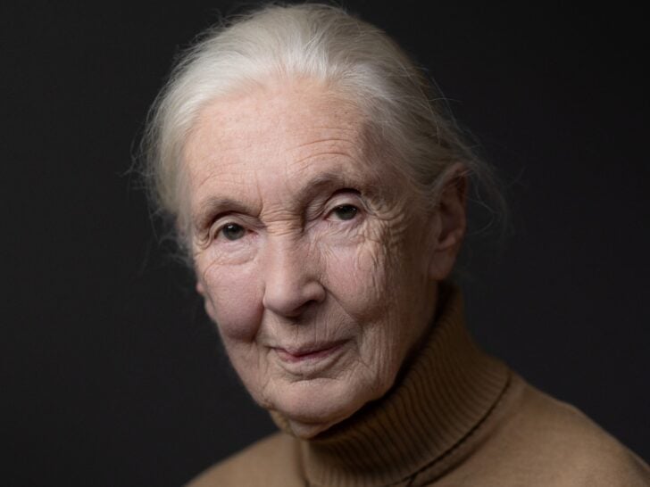 Jane Goodall Cause of Death: Legendary Conservationist Was 91