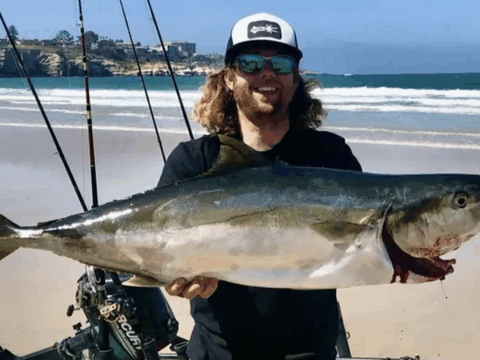 Fishing influencer Mikey Rijavec has been found dead.