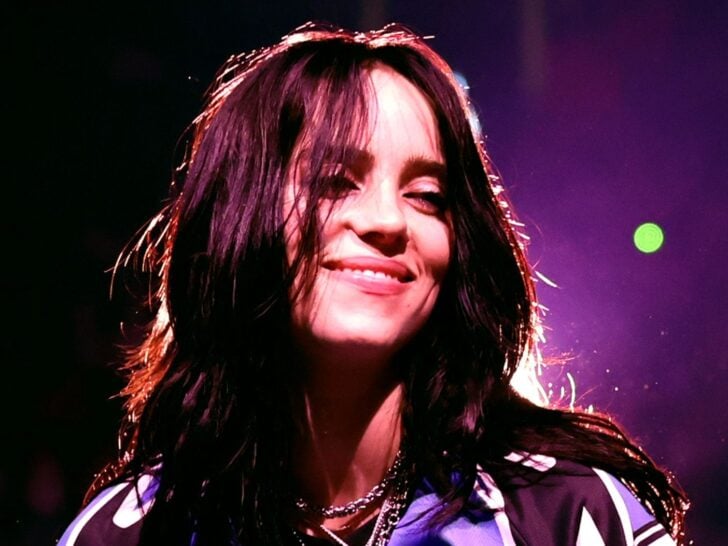 Billie Eilish Breaks the Internet With Jaw-Dropping Thirst Trap