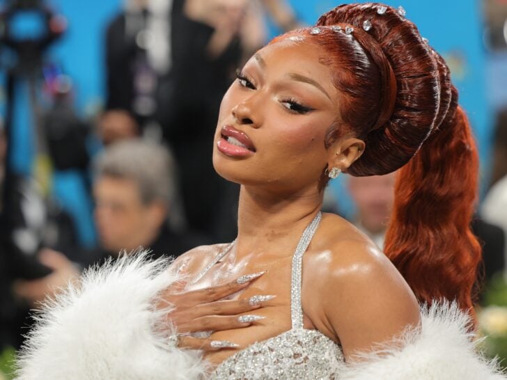 Megan Thee Stallion Pregnant? The Rumor & The Truth