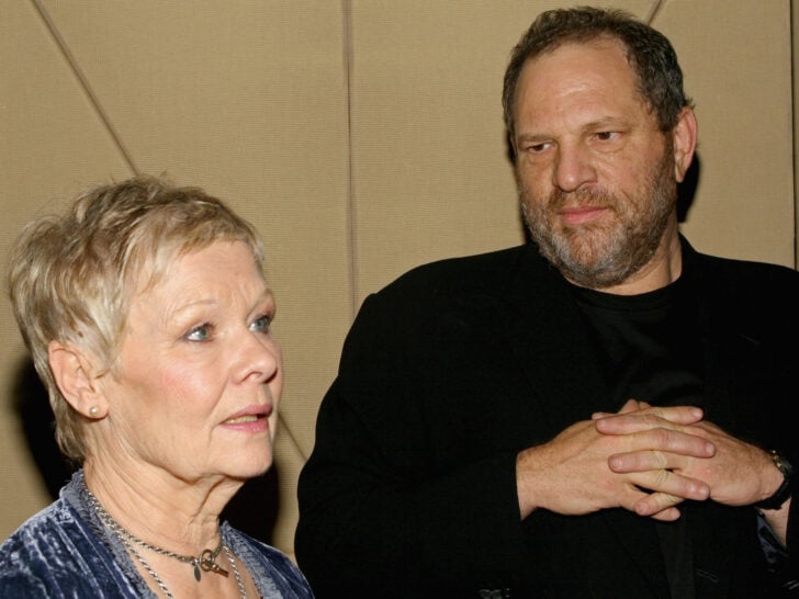 Judi Dench Says It’s Time to Release Harvey Weinstein From Prison, Whole World …