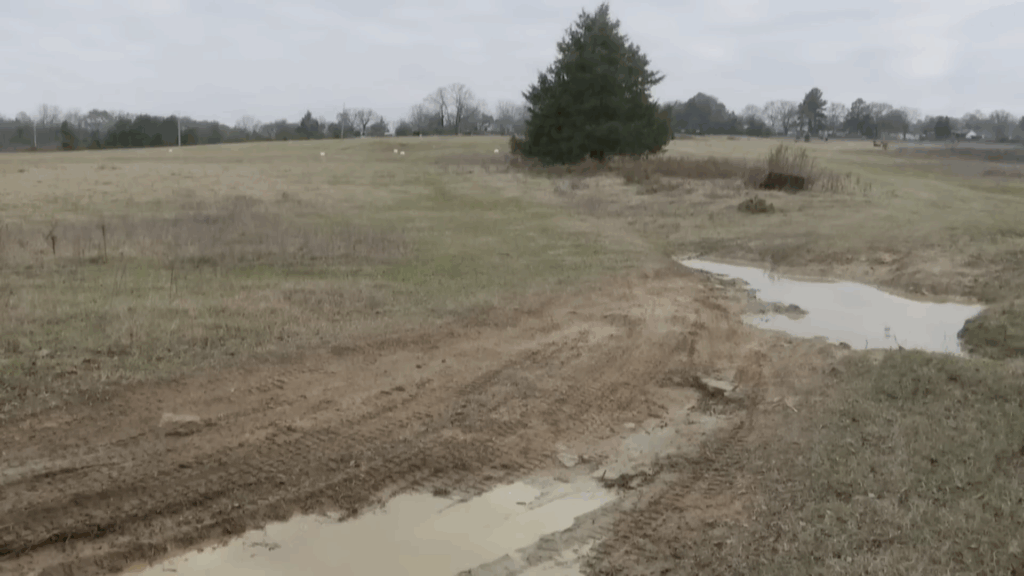 A photo of a vacant field with a tree in it from 5NEWS.
