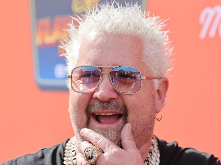 Guy Fieri UNRECOGNIZABLE in Flavorless New Look