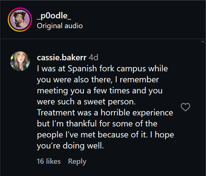 A dark mode Instagram screenshot under Lexi Jones' post.