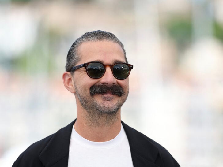 Shia LaBeouf Sentenced to Rehab After Possibly Being ‘Punched In Groin’ …