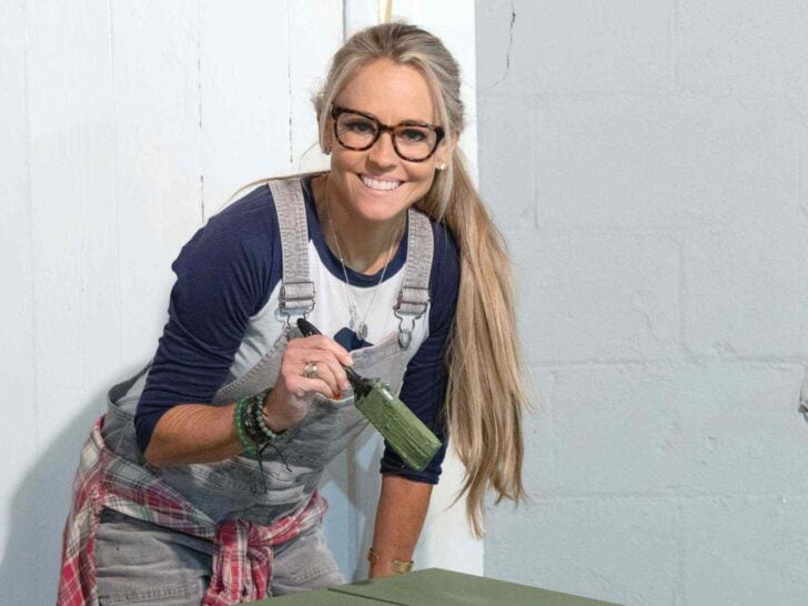Nicole Curtis Drops Racial Slur on Set; HGTV Cancels Rehab Addict in Response