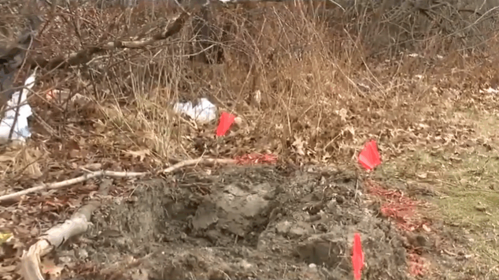 The crime scene, a patch of ground with a shallow grave dug up, surrounded by small flags for crime scene identification.