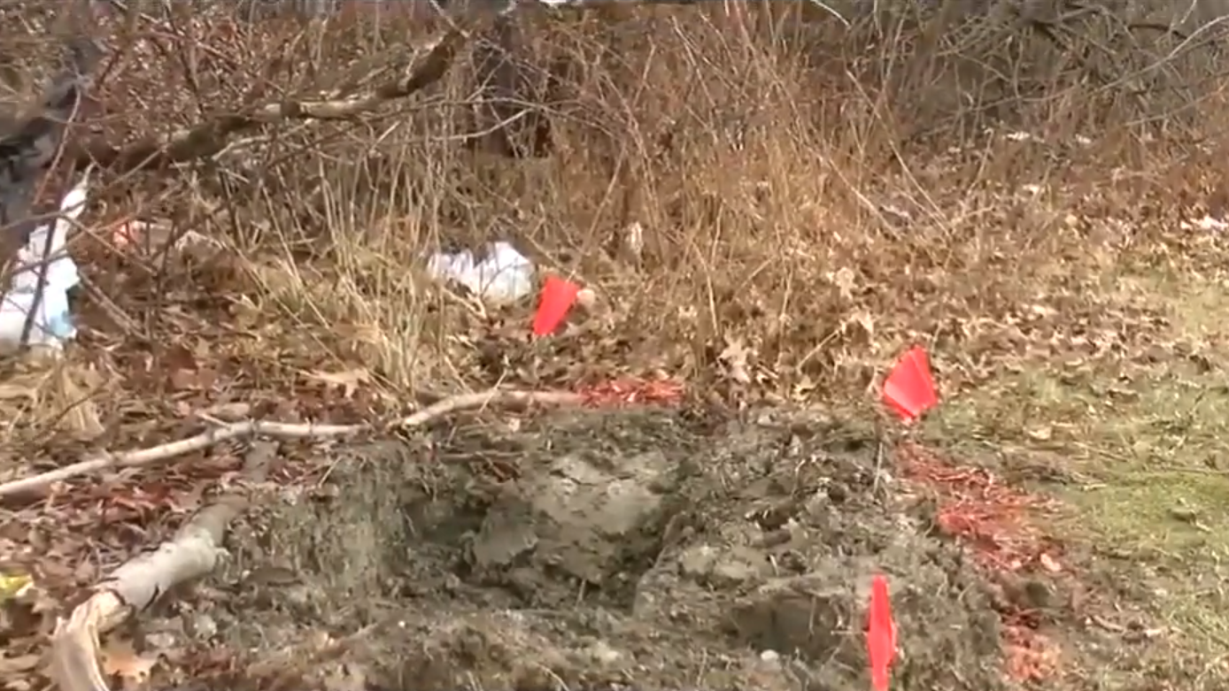 The crime scene, a patch of ground with a shallow grave dug up, surrounded by small flags for crime scene identification.