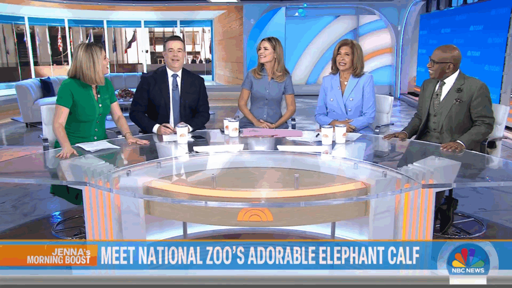 The Today Show panel.