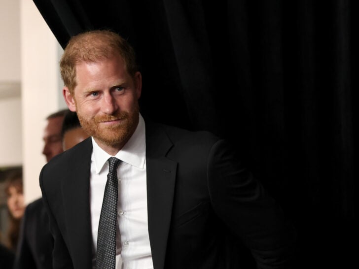 Prince Harry Sued By Charity He Co-Founded to Honor Late Mother