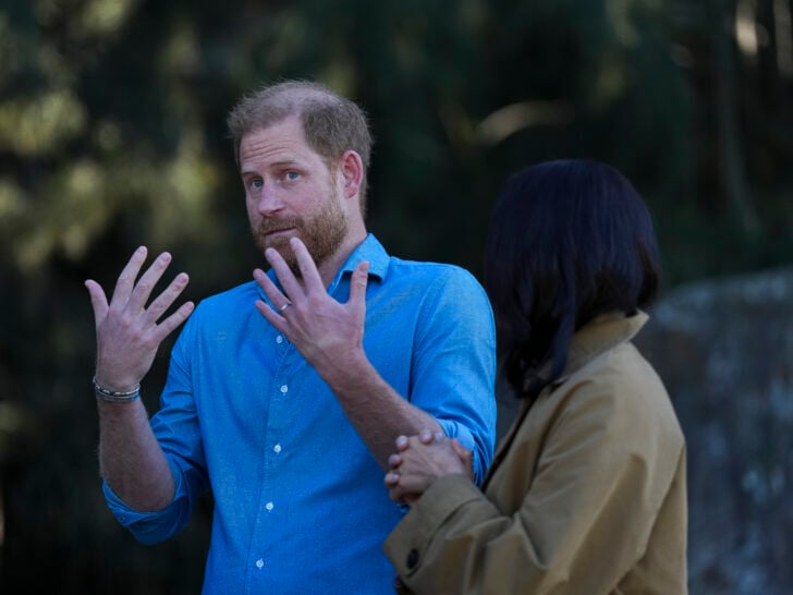 Prince Harry Says Royal Work ‘Killed My Mom’ In Shocking Speech