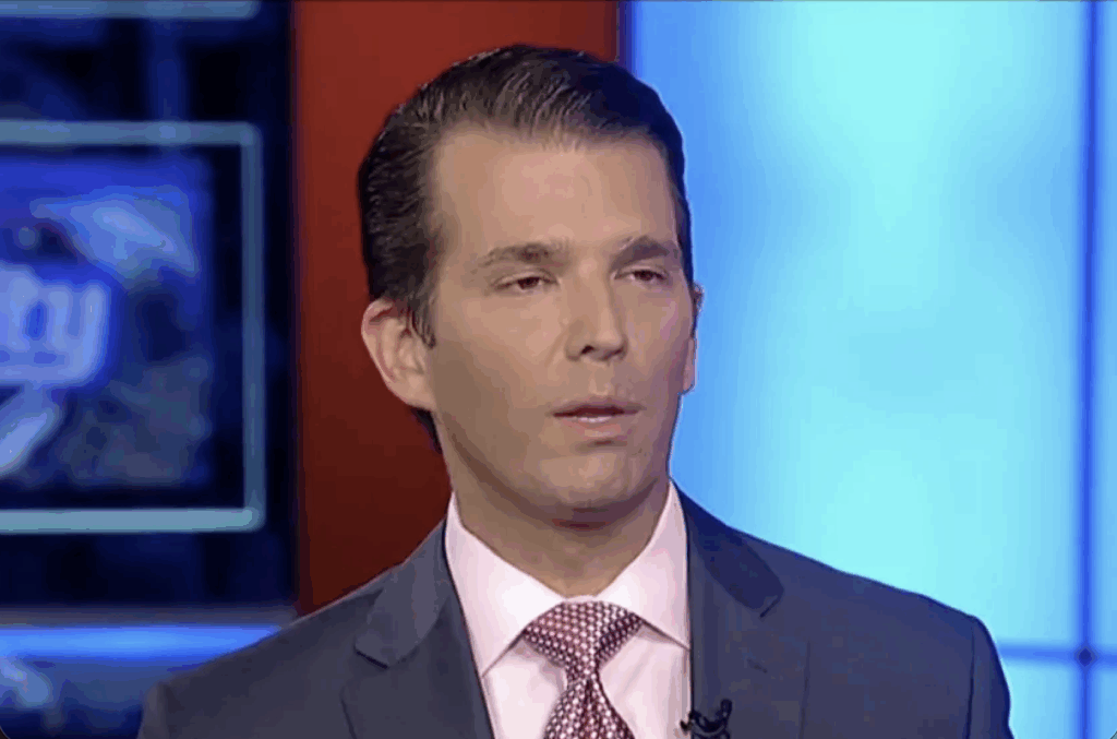Donald Trump Jr. during one of his appearances on Fox News.