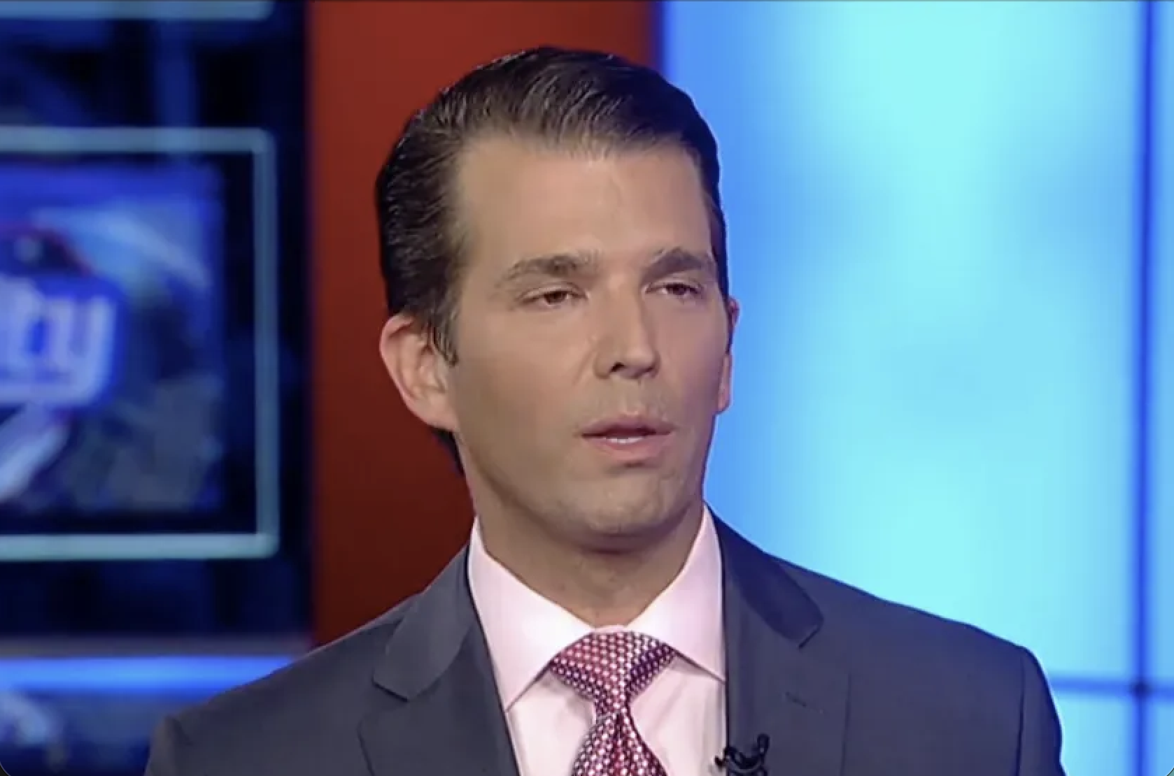 Donald Trump Jr. during one of his appearances on Fox News.