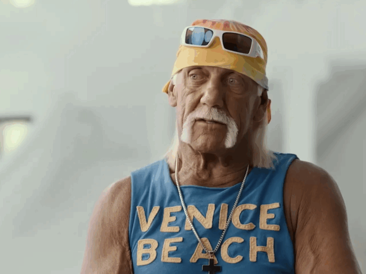 Hulk Hogan's final interview has finally been made public.