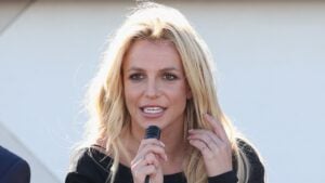 Britney Spears Accusing of Chaotic Dinner & ‘Barking’ at Tavern (But What …