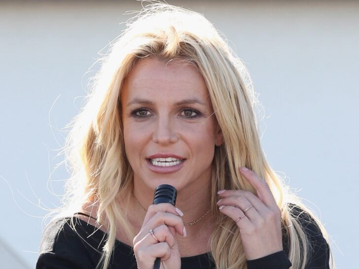 Britney Spears Accusing of Chaotic Dinner & ‘Barking’ at Tavern (But What …