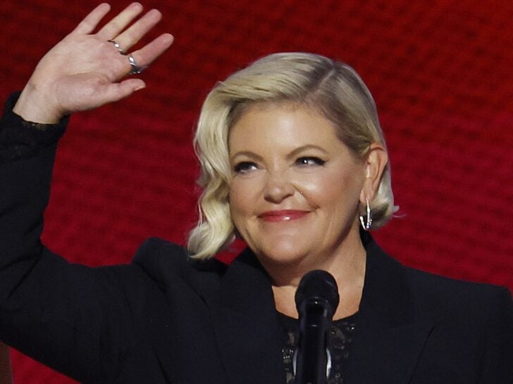 Natalie Maines of ‘The Chicks’ Blasts Donald Trump & Insurrectionist …
