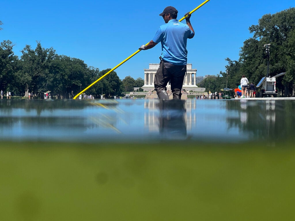 Trump's reflecting pool renovation, full of algae.