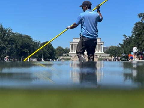 Trump's reflecting pool renovation, full of algae.
