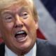 Donald Trump speaks, mouth wide open.