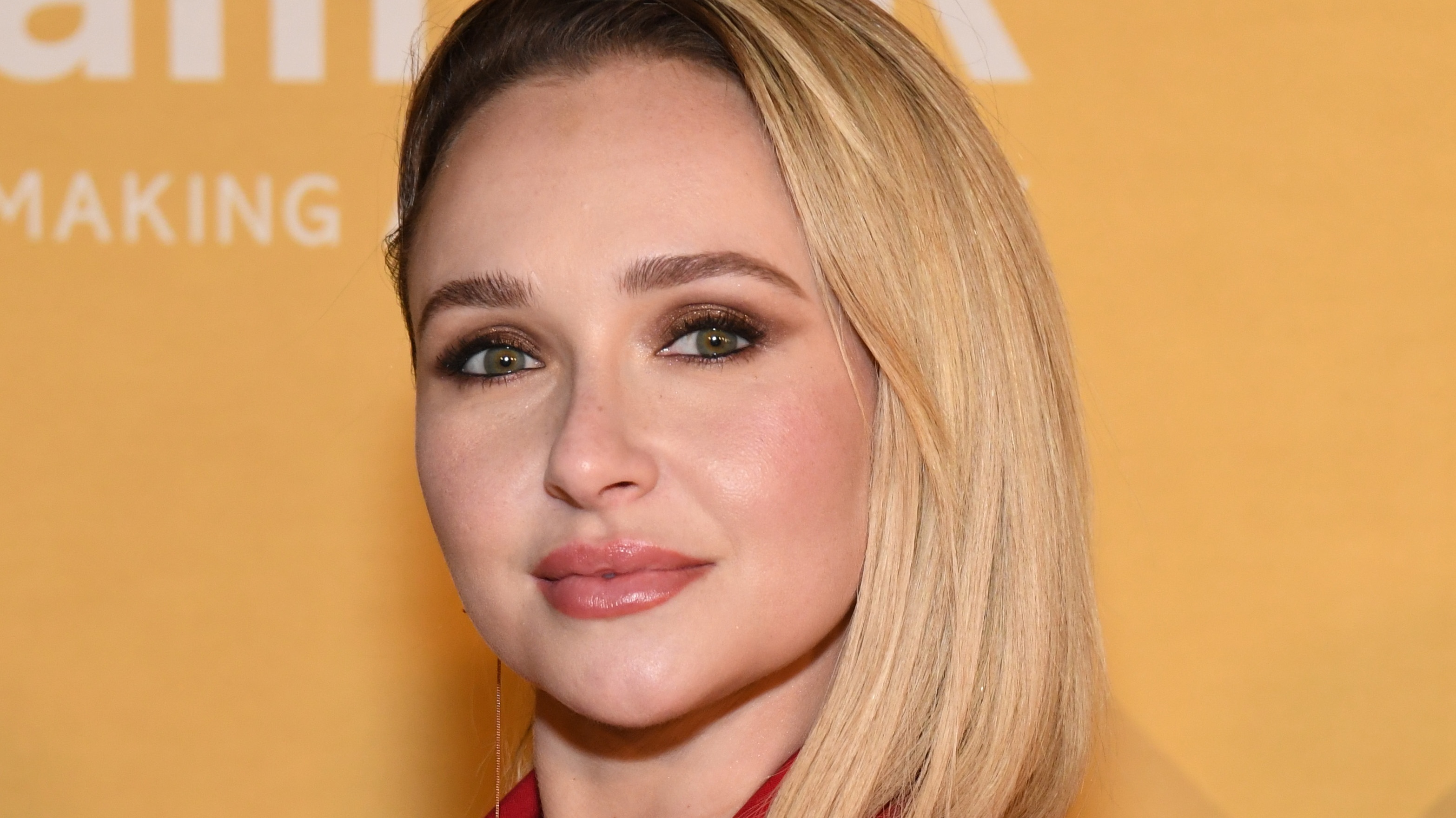 Hayden Panettiere Exposed Powerful Men Before Her Tragic Death